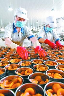 罐頭 從快生活方式到互聯網銷售新篇章